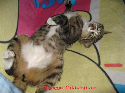 大旱望云霓的故事图片