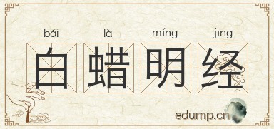 白蜡明经图片