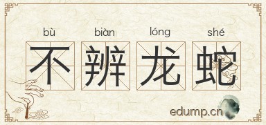 不辨龙蛇图片