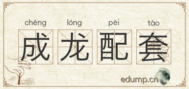 成龙配套图片