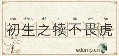 初生之犊不畏虎图片