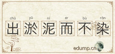 出淤泥而不染图片