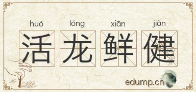 活龙鲜健图片