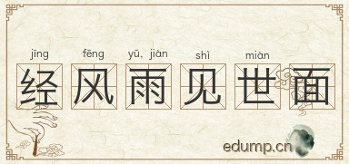 经风雨，见世面图片