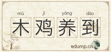 木鸡养到图片