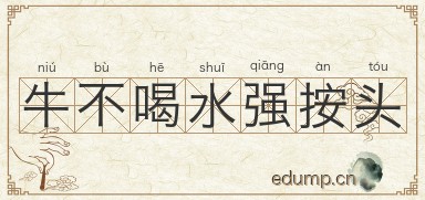 牛不喝水强按头