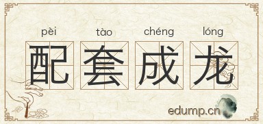 配套成龙图片