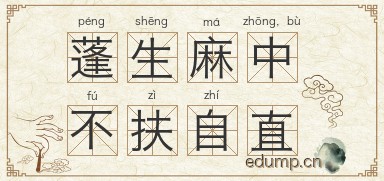 蓬生麻中，不扶自直图片