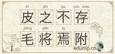 皮之不存，毛将焉附图片