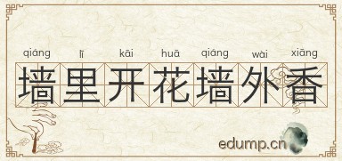 墙里开花墙外香图片