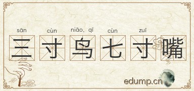 三寸鸟，七寸嘴图片