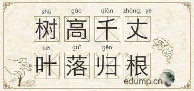 树高千丈，叶落归根图片