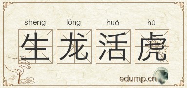 生龙活虎图片