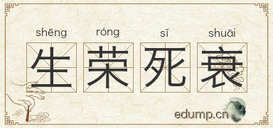 生荣死衰图片
