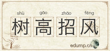 树高招风图片