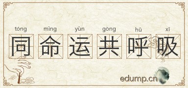 同命运共呼吸图片