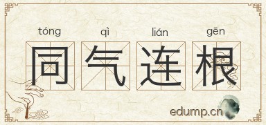 同气连根图片