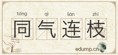 同气连枝图片