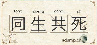 同生共死图片
