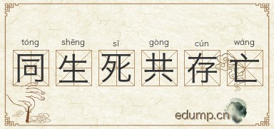 同生死共存亡图片