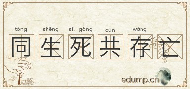 同生死，共存亡图片