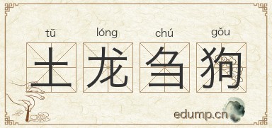 土龙刍狗图片