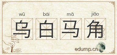 乌白马角图片