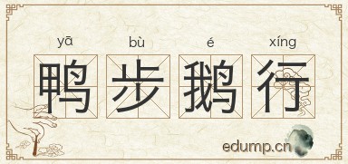 鸭步鹅行图片