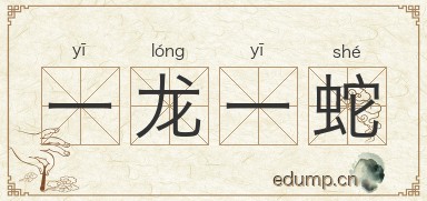 一龙一蛇图片