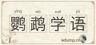 鹦鹉学语图片