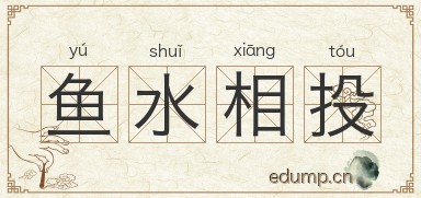 鱼水相投图片