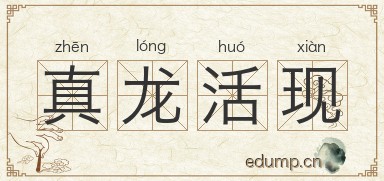 真龙活现图片