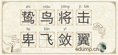 鸷鸟将击，卑飞敛翼图片